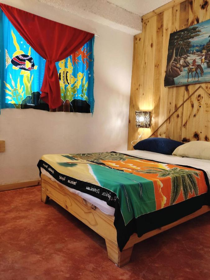 Hostel La Ballena Backpacker Las Galeras Bagian luar foto