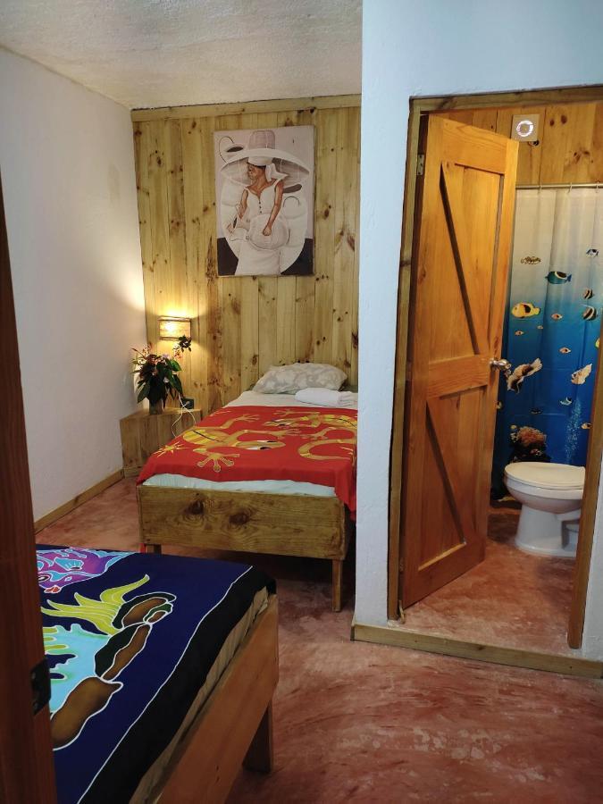 Hostel La Ballena Backpacker Las Galeras Bagian luar foto