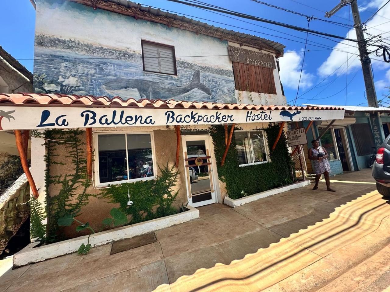 Hostel La Ballena Backpacker Las Galeras Bagian luar foto