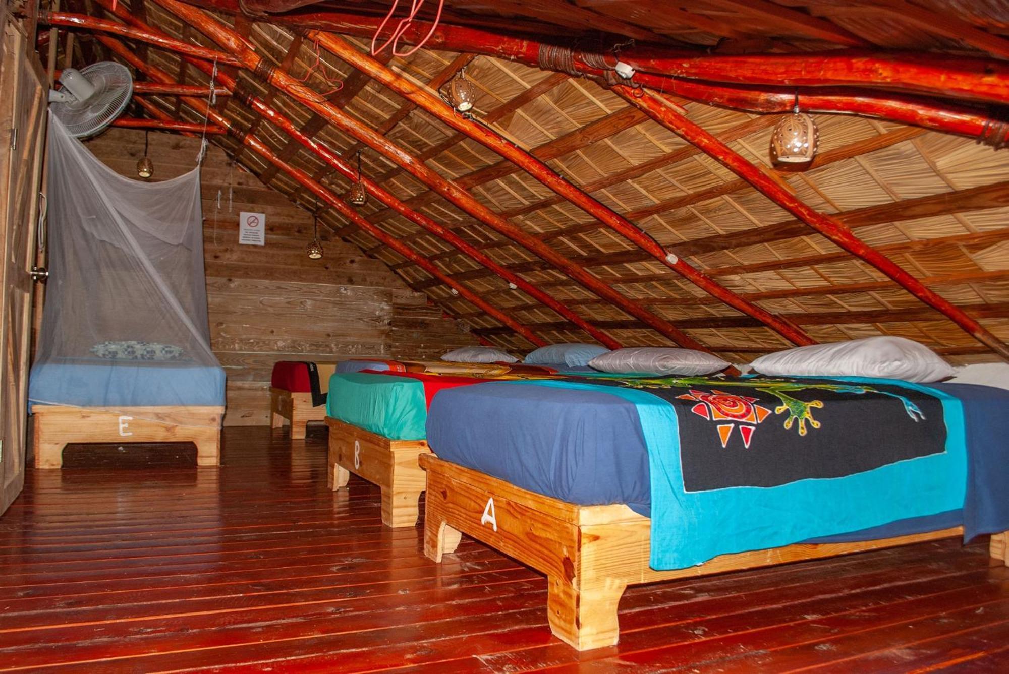 Hostel La Ballena Backpacker Las Galeras Bagian luar foto