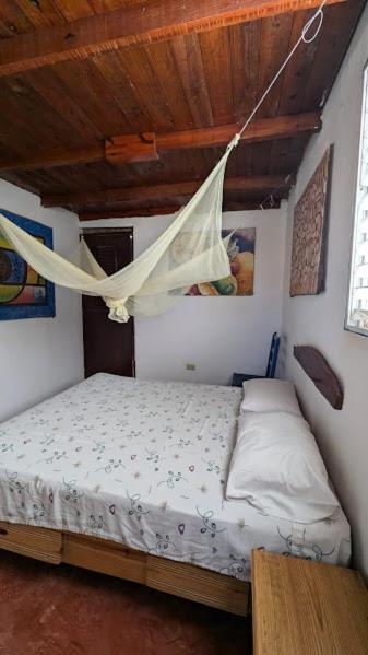Hostel La Ballena Backpacker Las Galeras Bagian luar foto