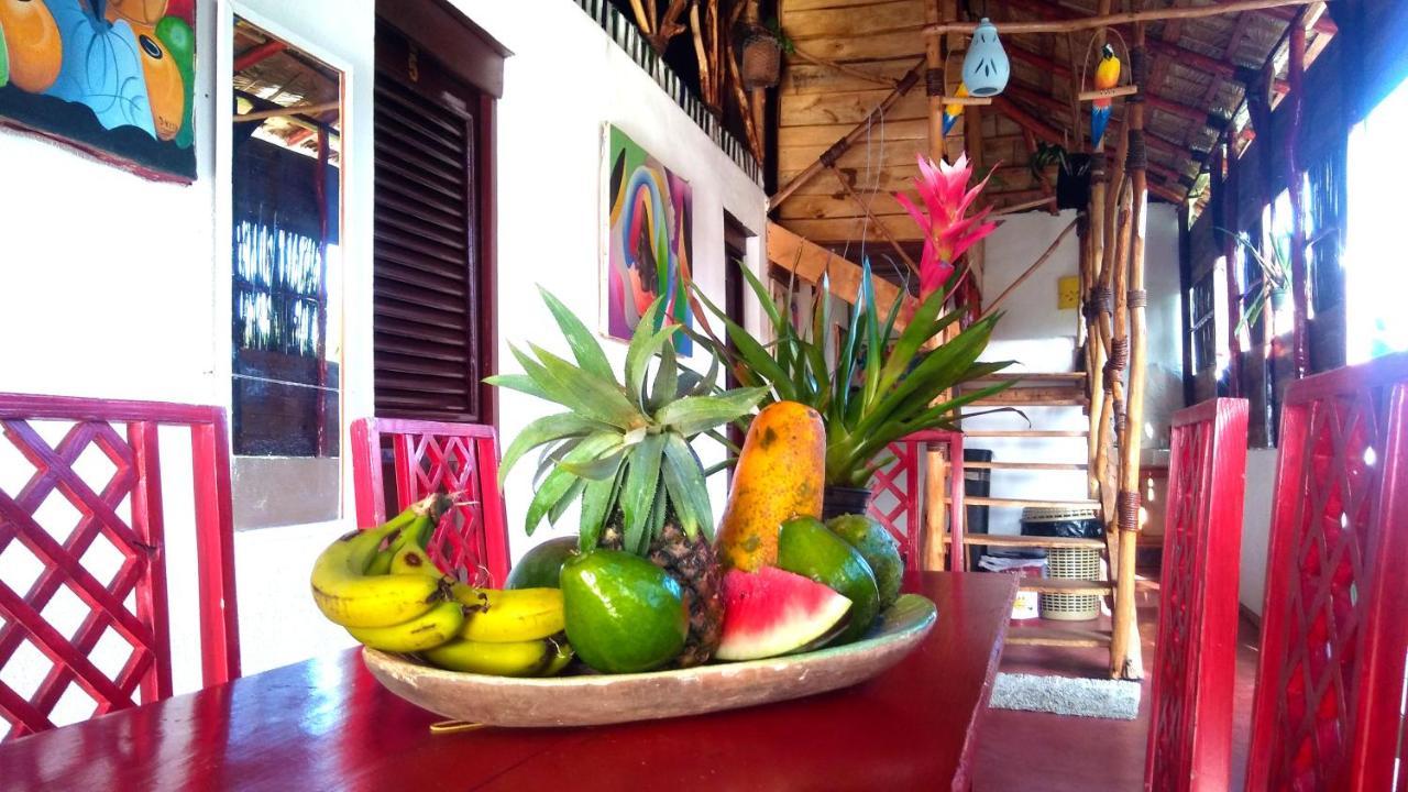 Hostel La Ballena Backpacker Las Galeras Bagian luar foto